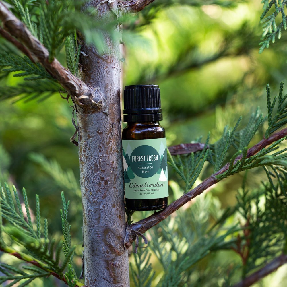 Forest Fresh Essential Oil Blend- The Best Blend To Make The Home Smell Like A Real Christmas Tree - Image 2